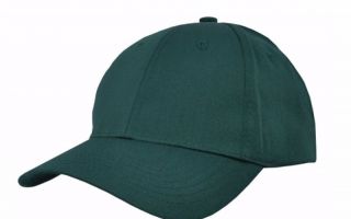 cap5.jpg